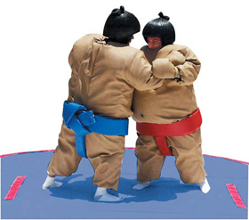 Sumo Wrestling Suits picture